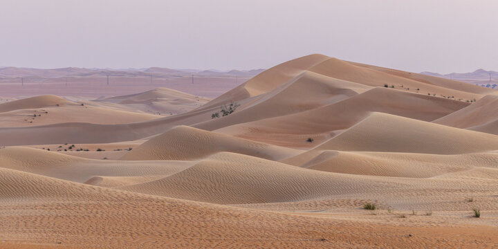 View of undulating sand dunes stretch across the arid landscape, their golden hues contrasting against the pale sky in Bateen Liwa, Abu Dhabi, United Arab Emirates.