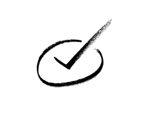 Hand-drawn black brush check mark. Bold, expressive tick symbol with artistic texture.