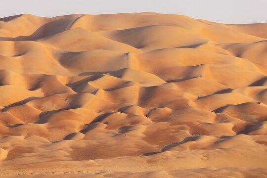 View of undulating sand dunes bask in the warm glow of the sun, creating a mesmerizing landscape of shadows and light, Bateen Liwa, Abu Dhabi, United Arab Emirates.