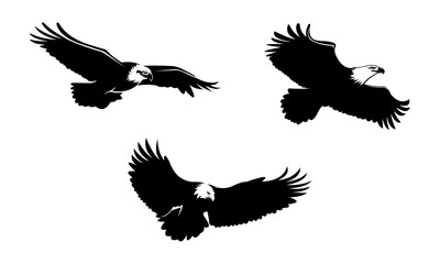 Obraz premium black and white silhouette of an eagle flying