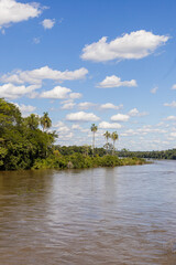Rio iguazu con unas palmeras de fondo