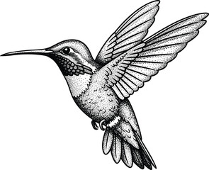 Obraz premium Vintage Stippled Hummingbird Flying Illustration with Black and White Dotted Shading Texture for Nature Branding Wildlife Conservation and Artistic Projects