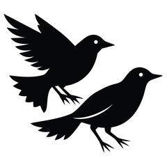 Fototapeta premium Vector Silhouettes of Birds in Flight, Set of Bird Silhouettes in Black Vector art