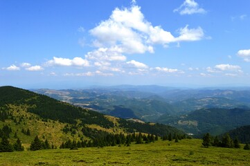 summer landscape on the mountain
