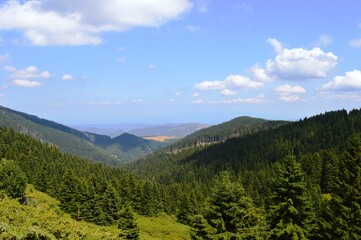 summer landscape on the mountain