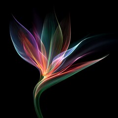 Translucent Abstract Flower with Rainbow Light Streaks on Photo Black glowing luminous