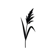 Reed plant wetland nature botanical silhouette growth element vector illustration