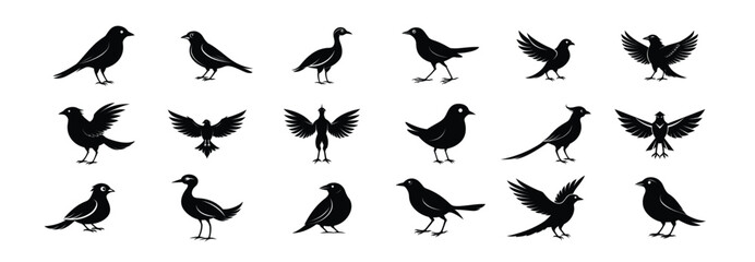 Bird Silhouettes Collection On White Background