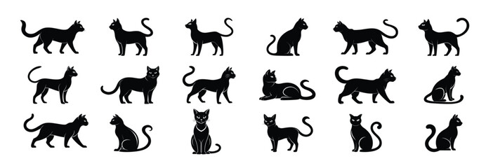 Black Cat Silhouettes On White Background