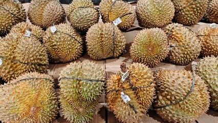 Fototapeta premium A pile of whole, thorny durian fruits displayed for sale at a local fruit stall, highlighting the texture and large size of the famous king of fruits
