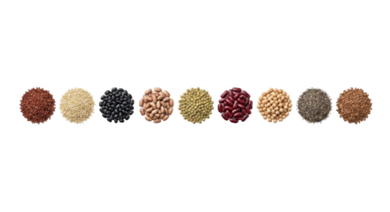 Diversity of various textured and colored seeds and grains isolated on transparent background