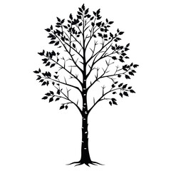 Obraz premium Birch-silhouette-vector-with-white-background 