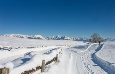 a beautiful winter landscape with a blue sky
