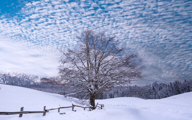the path snowed by a great night storm