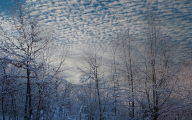 beautiful winter landscapes in the Italian Dolomites