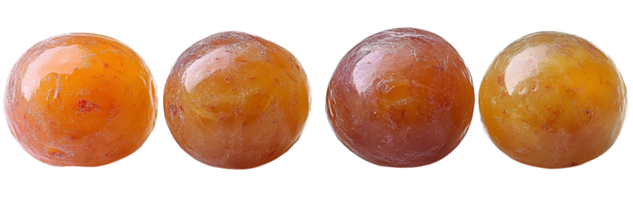 Row of rounded organic shapes in varied hues