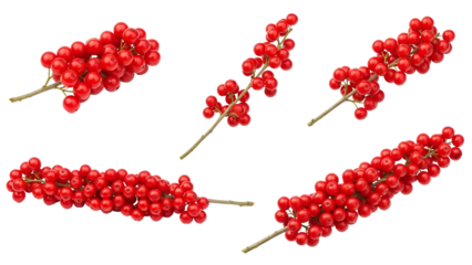 Cluster of red berries on stems