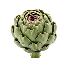 Obraz premium Single Garden Fresh Artichoke Macro Photography 