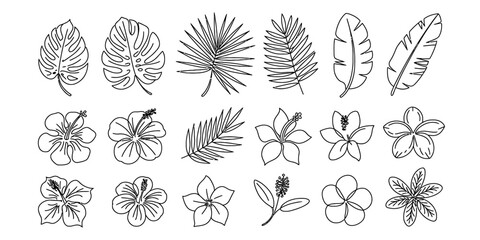 A detailed collection of line art illustrations featuring tropical leaves and hibiscus flowers Vector, illustration