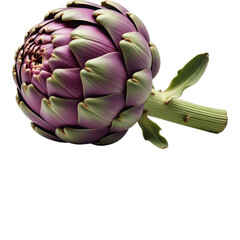 Fototapeta premium Fresh purple artichoke isolated on transparent background with green stem and leaves