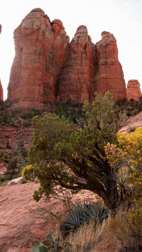 View of towering red rock formations rise majestically against the muted sky, complemented by the lush greenery clinging to the rugged terrain, Arizona Desert, Arizona, United States.