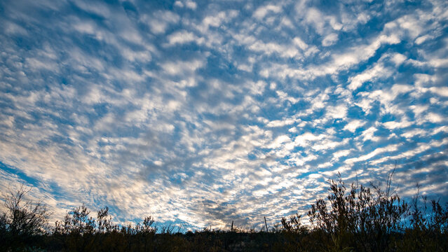 View of a wintery sky filled with patterned altocumulus clouds over the desert landscape, with sparse vegetation below, Phoenix, Arizona, United States.
