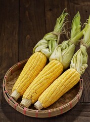 Fresh raw sweet corn cob