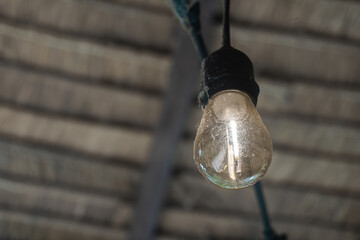 Vintage Light Bulb Hanging from Rustic Ceiling with Natural Background