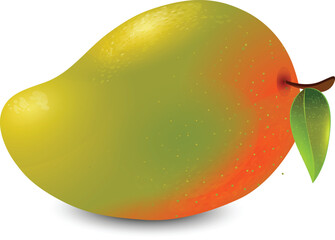mango on a white background