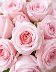 Close-up pastel pink roses