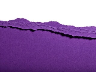 Torn edge of purple paper isolated on white background with rough texture