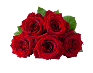 A lush bouquet of deep red roses with vibrant green leaves