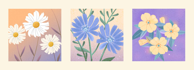 Soft floral illustrations with textured backgrounds, featuring daisy and wild flowers in pastel colors. Gentle botanical art for decor, prints, cards, and modern design projects.
