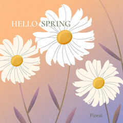 Soft floral card with textured backgrounds, featuring daisy and wild flowers in pastel colors. Gentle botanical art for decor, prints, hello spring