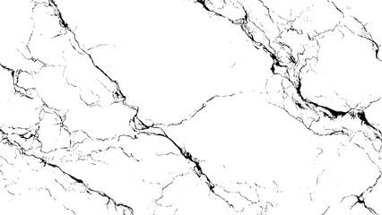 marble texture with black veins on white background