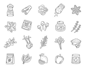 Kitchen spice ingredient set in outline line art featuring herbs seasonings sauces and aromatic elements for cooking culinary food projects, perfect for your illustration