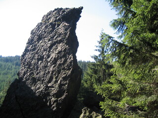 Felsen und Schutthalde am Geierfelsen im Th&uuml;ringer Wald