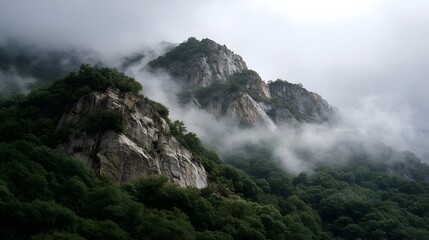 Obraz premium Misty mountain peaks rise above a dense green forest with rugged cliffs partially obscured by atmospheric fog and soft diffused light