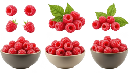 Fresh Raspberries in Bowls and Loose Isolated on Transparent Background Keywords: raspberry