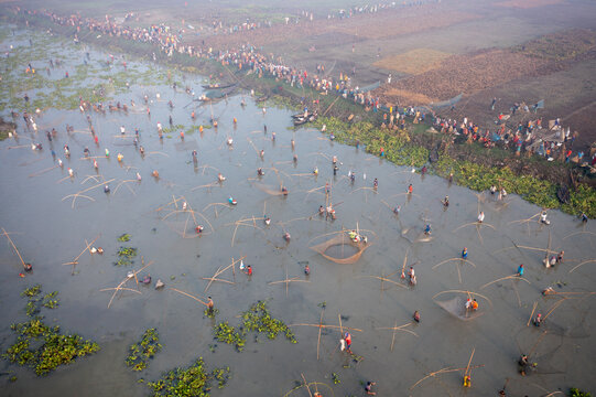 Pabna, Bangladesh - 27 November 2021: Aerial view of a vibrant scene unfolds as countless figures dot the water, their fishing nets creating intricate patterns against the murky depths.