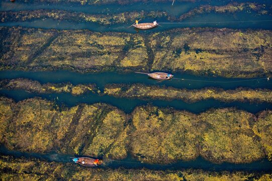 Pabna, Bangladesh - 27 November 2021: Aerial view of shimmering waterways snaking through vibrant, green fields, punctuated by traditional boats carrying people across the tranquil landscape.