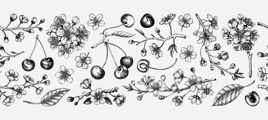 Obraz premium Cherry blossom tree hand-drawn vector illustrations. Sakura flower sketches. Vintage seamless background. NOT AI generated