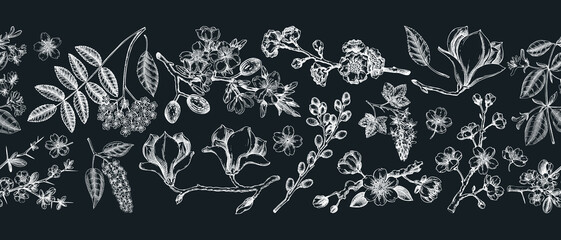 Blooming trees border design. Flowering branches hand drawn vector illustration. Vintage spring background. NOT AI generated