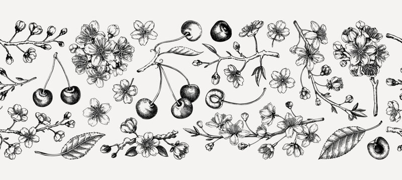 Cherry blossom tree hand-drawn vector illustrations. Sakura flower sketches. Vintage seamless background. NOT AI generated
