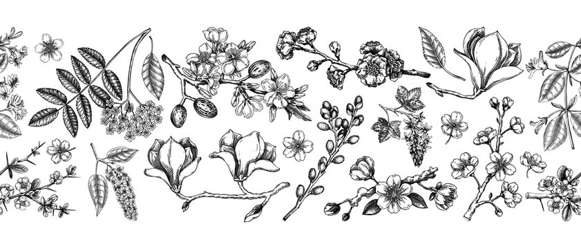 Blooming trees border design. Flowering branches hand drawn vector illustration. Vintage spring background. NOT AI generated