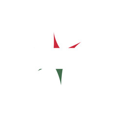 Hungary Flag Splash Star In Icon
