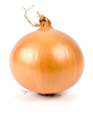 Whole brown bulb onion, isolated on white background, studio shot