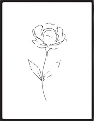 Rose continuous line drawing, black