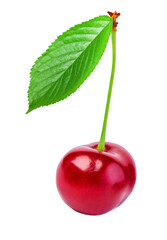 Single red ripe cherry with green leaf and stem