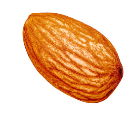Single roasted almond nut with textured skin